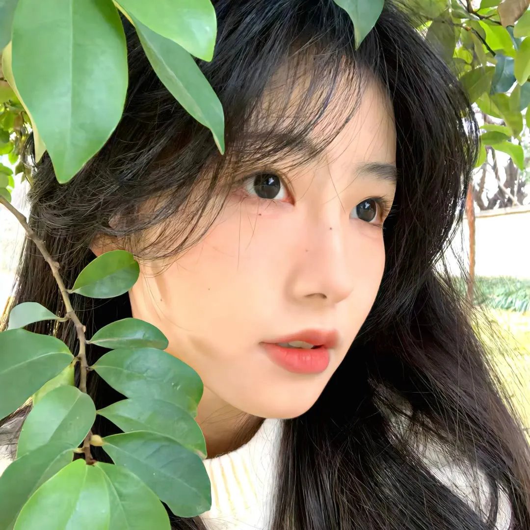 真木栗之穴