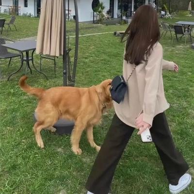 联林珍奇